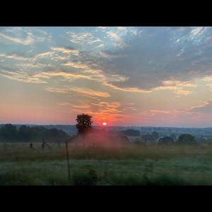 Meet your Posher, Rain